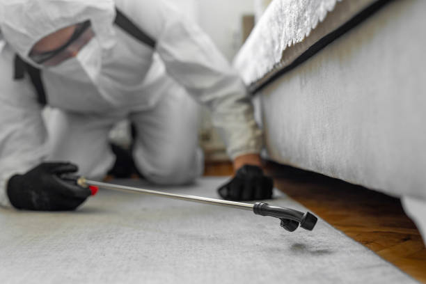 Professional Termite Control technician working in Sparks, TX