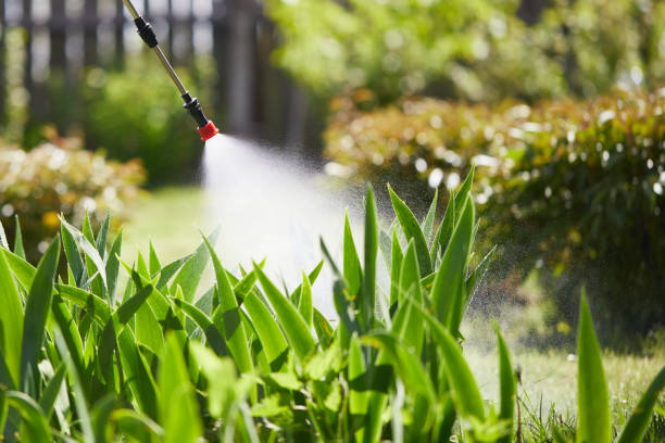 24/7 Emergency Termite Control experts in Sparks, TX